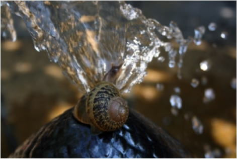 benefits of indoor fountains